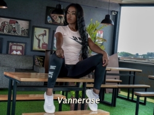 vannerose Blog éjac