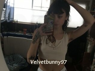 Velvetbunny97