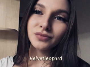 Velvetleopard