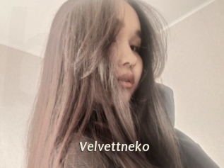 Velvettneko