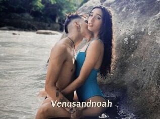Venusandnoah