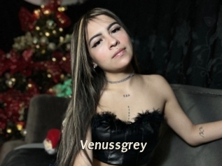 Venussgrey