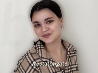 Vestatongate