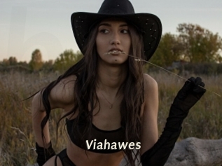Viahawes