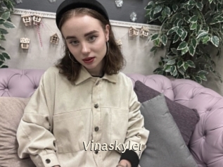Vinaskyler