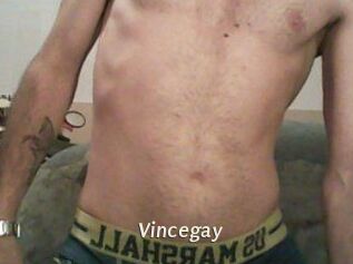 Vincegay
