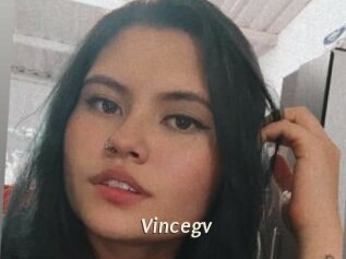 Vincegv