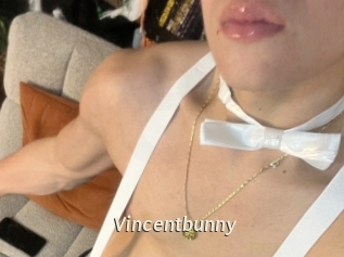 Vincentbunny