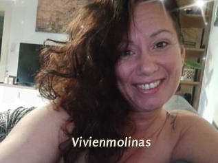 Vivienmolinas