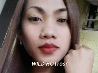 WILD_HOTrose
