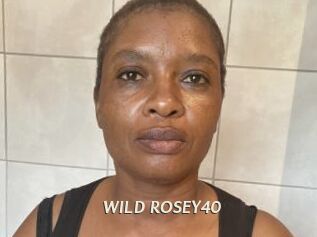 WILD_ROSEY40