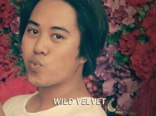 WILD_VELVET