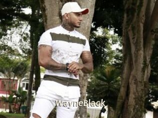 WayneBlack
