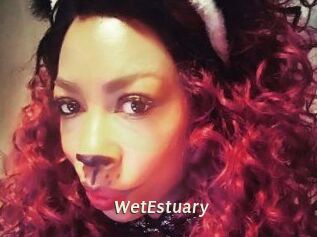 WetEstuary