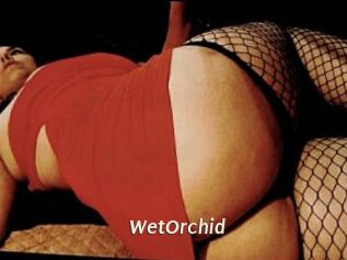 WetOrchid