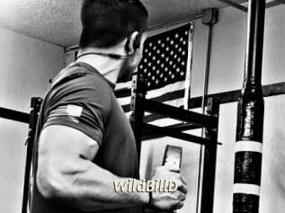 WildBillD