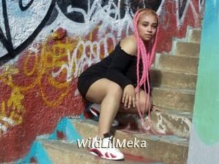 WildLilMeka Blog éjac