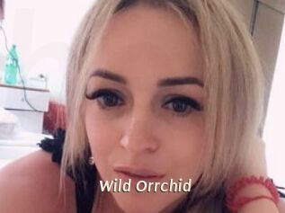 Wild_Orrchid