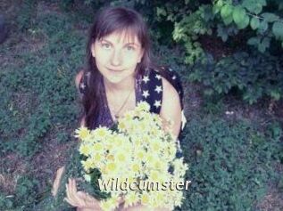 Wildcumster