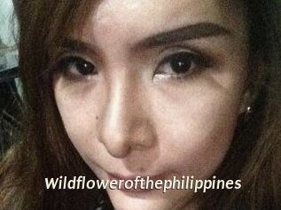 Wildflowerofthephilippines