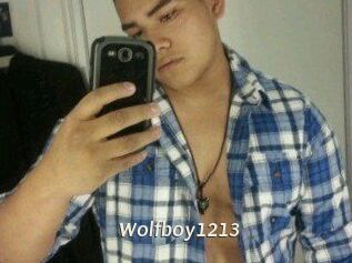 Wolfboy1213