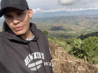 Wagi