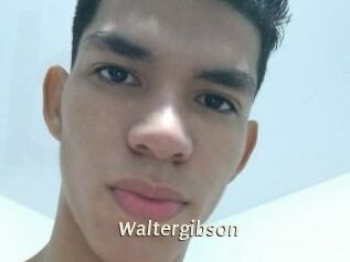Waltergibson