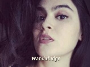 Wandafudge