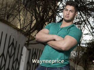 Waynneprice