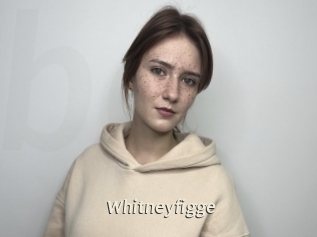 Whitneyfigge