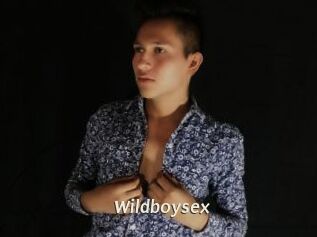 Wildboysex