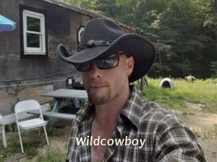 Wildcowboy