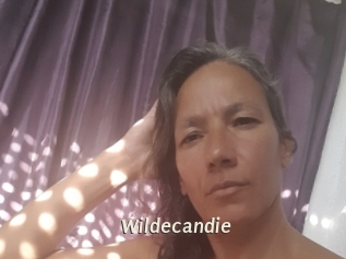 wildecandie Blog éjac