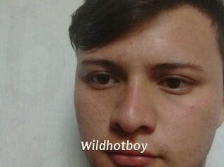 Wild_hotboy
