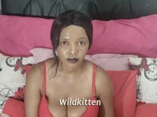 Wildkitten