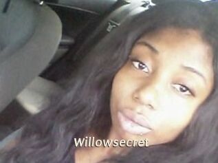 willow_secret Blog éjac