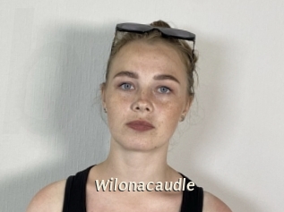 Wilonacaudle