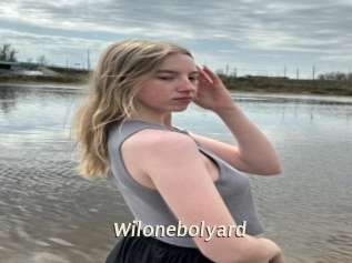 Wilonebolyard