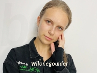 Wilonegoulder