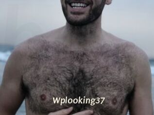 Wplooking37