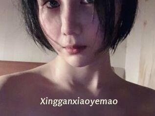 Xingganxiaoyemao