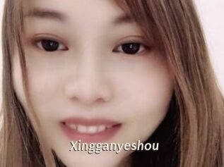 Xingganyeshou