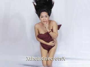 XtheBIGsecretsX