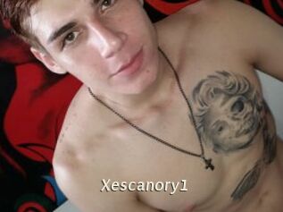 Xescanory1
