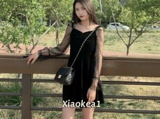 Xiaokea1
