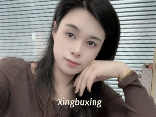 Xingbuxing