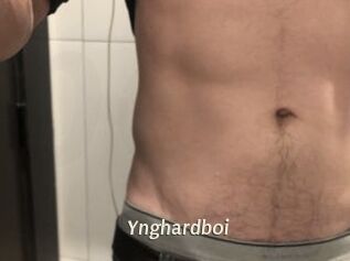 Ynghardboi