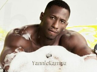 Yannickarnau