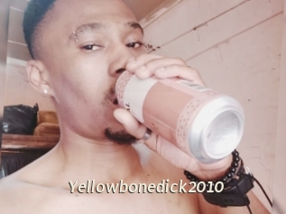 Yellowbonedick2010