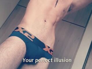 Your_perfect_illusion